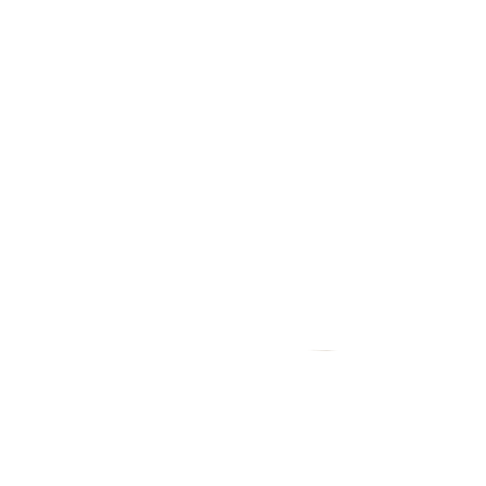 RS